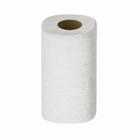 Shop the Cleaning Cupboard