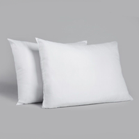 Eco Friendly Super-soft Student Duvet & Pillows