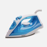 Steam Iron