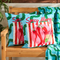 Colourful Scatter Cushions (pair of two)