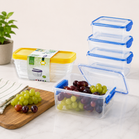 Rectangular Lunchboxes