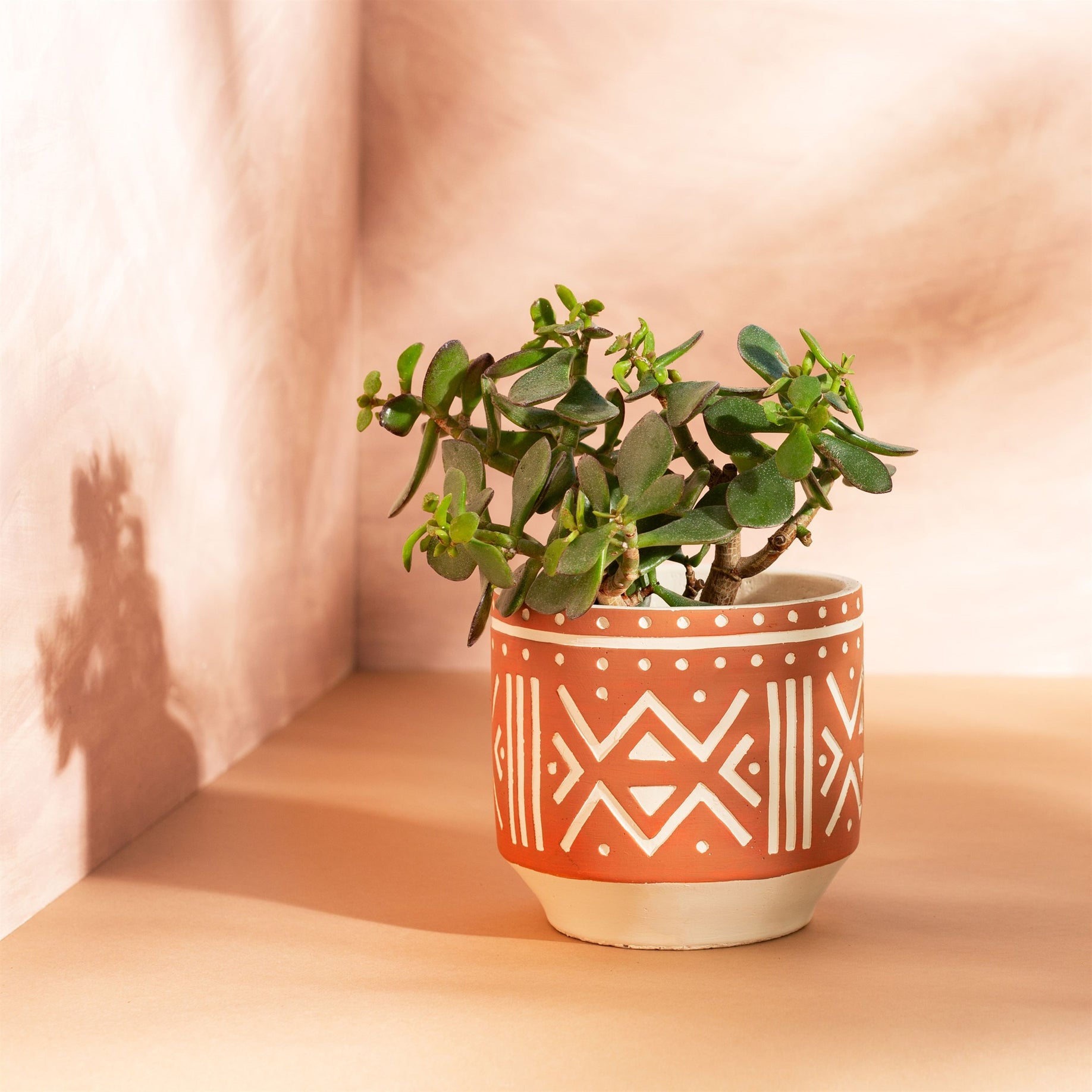 Boho clearance plant pots